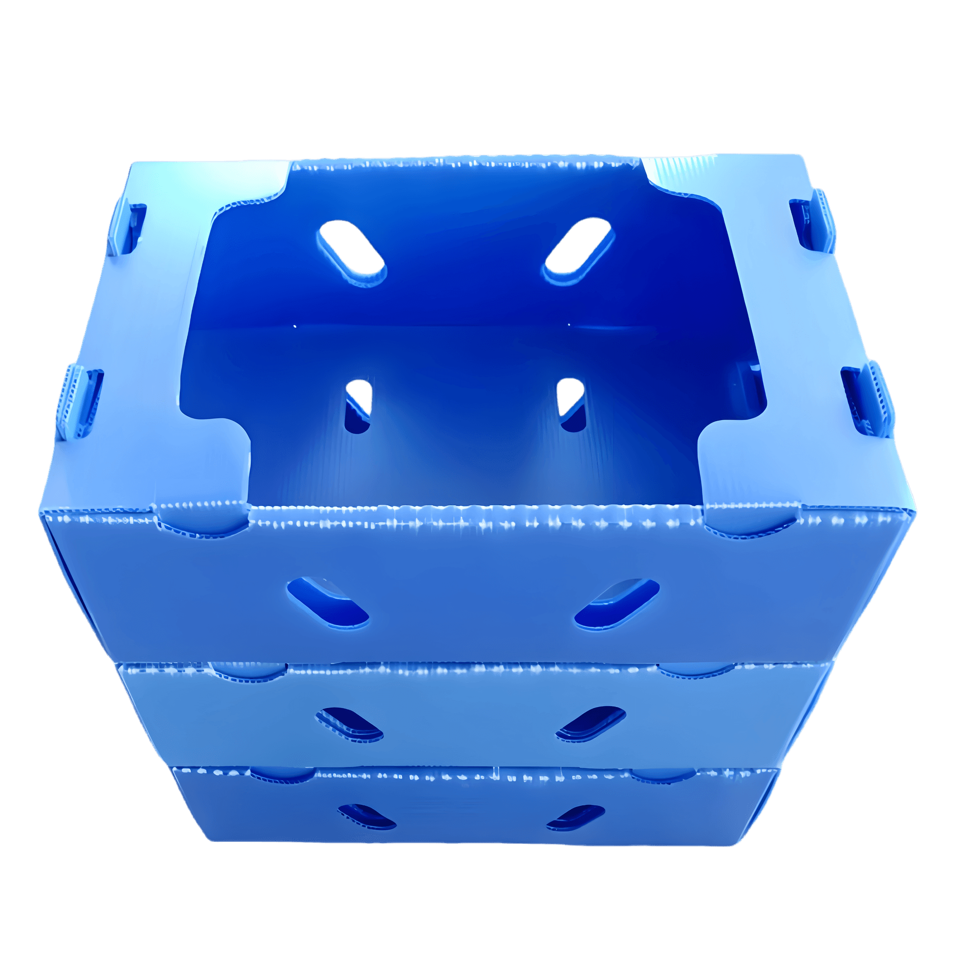 Corrugated Plastic Vegetable Box | Jingpak