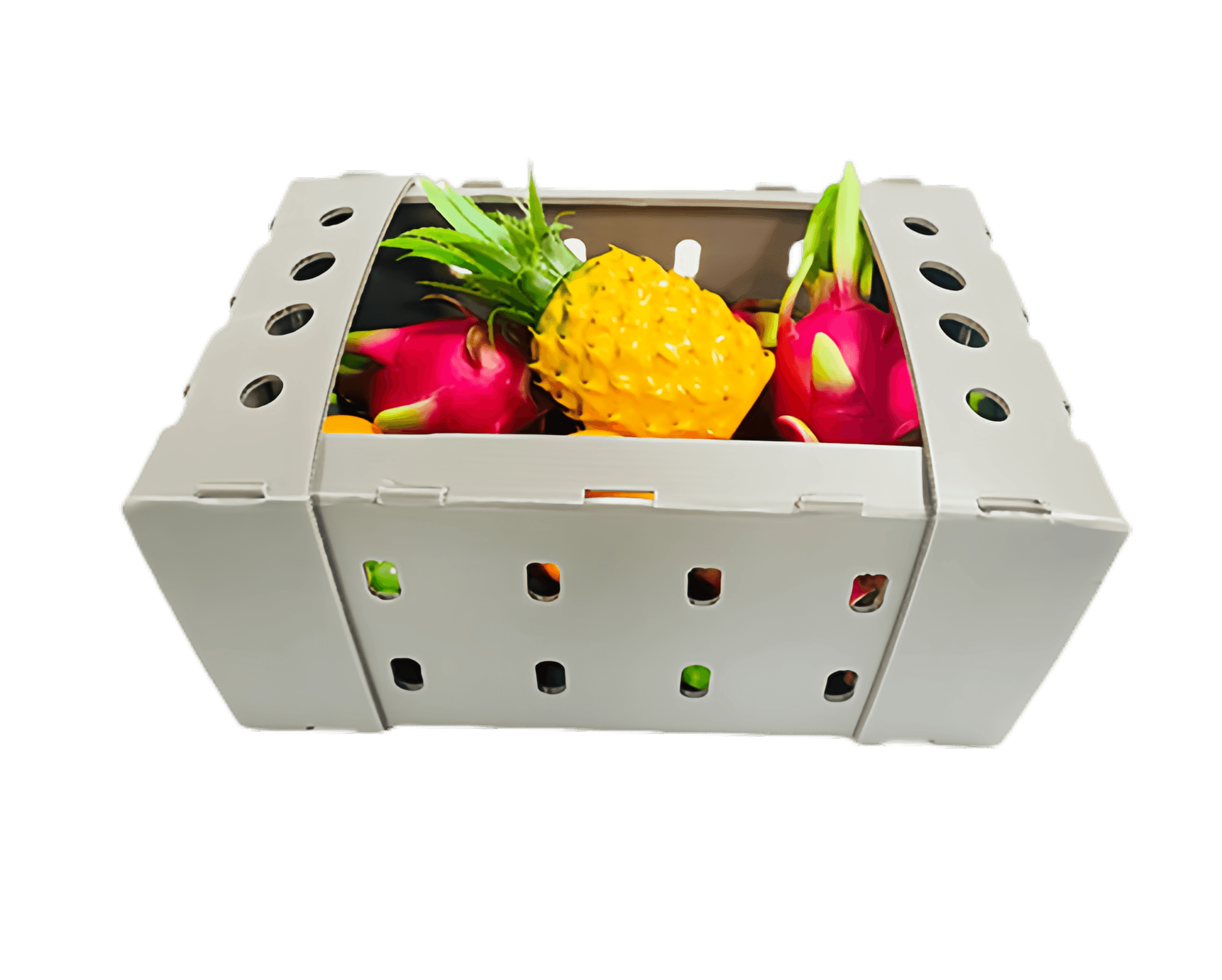 corrugated plastic fruit vegetable contain box